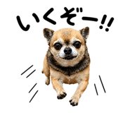 841308381