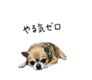 841308382