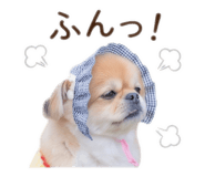 841308610