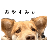 841309051