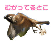 841309250
