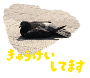 841309254