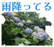841309256