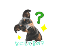 841309561
