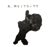 841309654