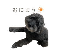 841309656