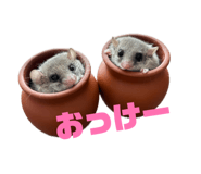 841309795