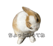 841309834
