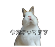 841309839