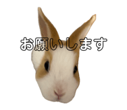 841309842