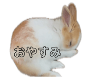 841309844