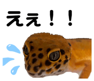 841309853