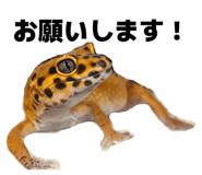 841309856