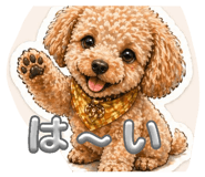 841309940