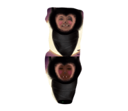 841310513