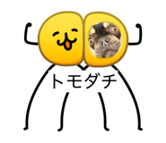 841310817