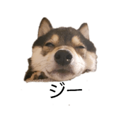 841311130