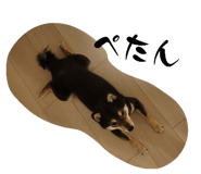 841311136