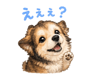 841311212