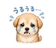 841311213