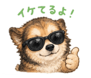 841311229