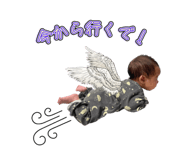 841311338