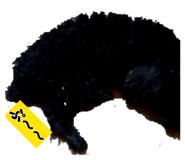 841311751