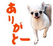 841311766