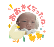 841311781