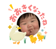 841311805