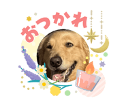 841312016