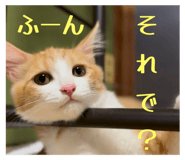 841312239