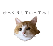 841312251