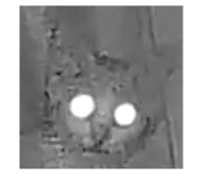 841312259