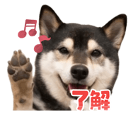 841312326