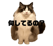 841312337