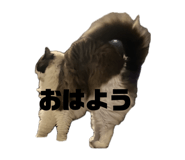 841312342