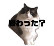 841312343