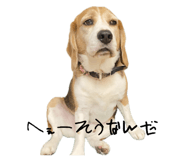 841312381