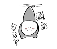 841312662