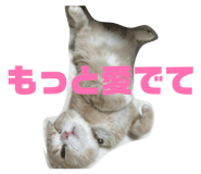 841312717