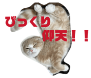 841312718