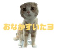 841312719