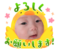 841312784