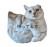 841312785
