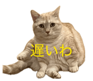 841312786