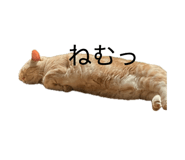 841312790