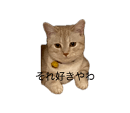 841312791