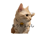 841312792