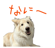 841312841